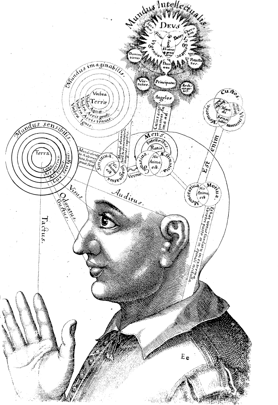 Consciousness Reconsidered