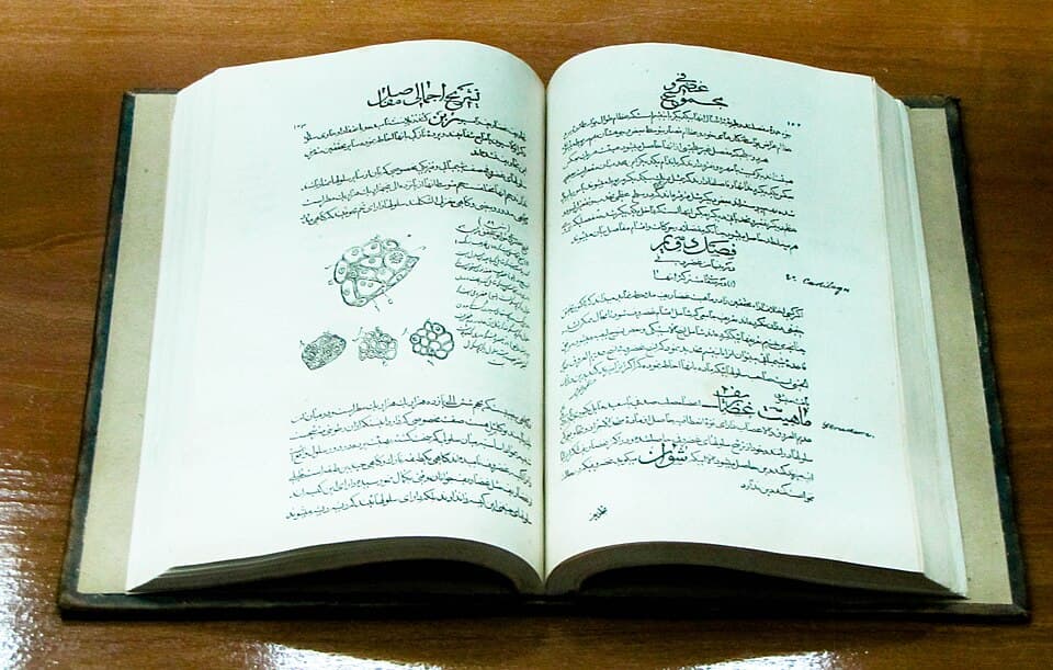 The Canon of Medicine