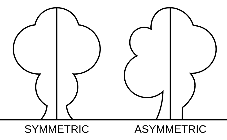 The Symmetry Perspective.. From Equilibrium to Chaos in Phase Space and Physical Space