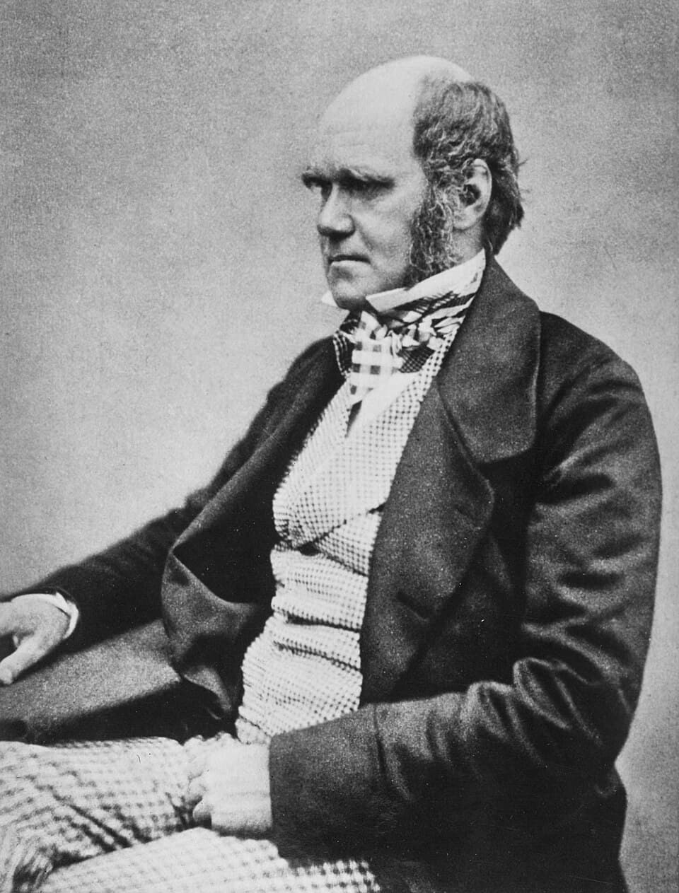 Darwin and Design: Does Evolution Have a Purpose?