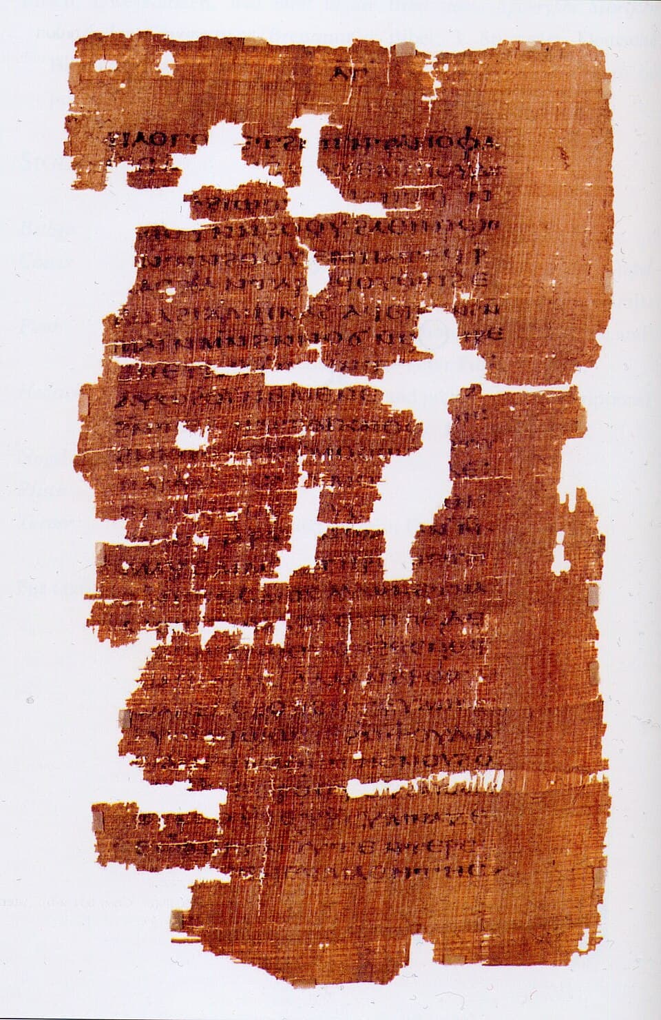 Gospel Women: Studies of the Named Women in the Gospels